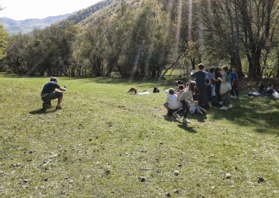 La Biodiversità: tutti indispensabili