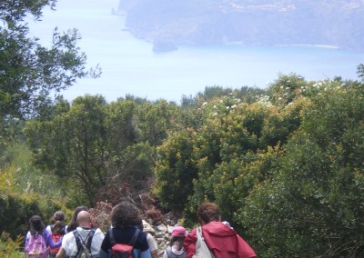 Parco Nazionale del Cilento, Palinuro e Paestum