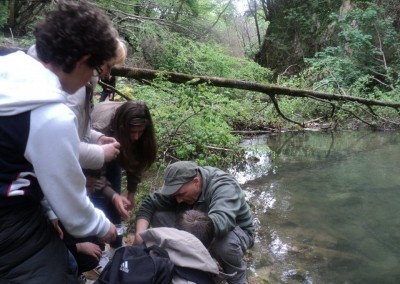 Acqua: la base della vita